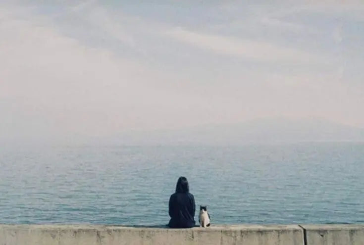 Una escena serena que representa la calma frente al silencio