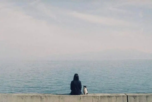 Una escena serena que representa la calma frente al silencio