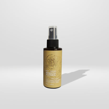 Bruma Bendita Alegría