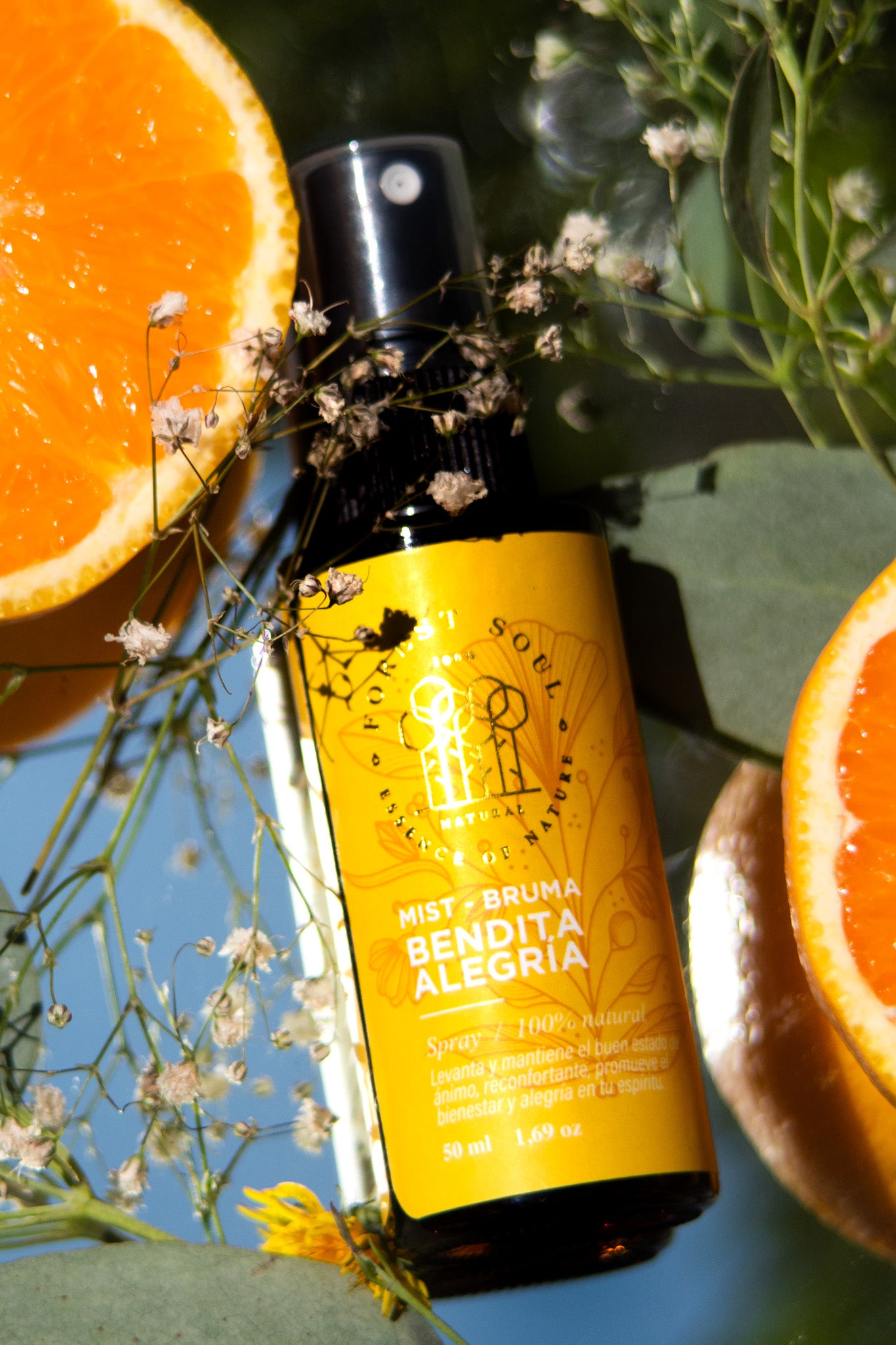 Bruma Bendita Alegría