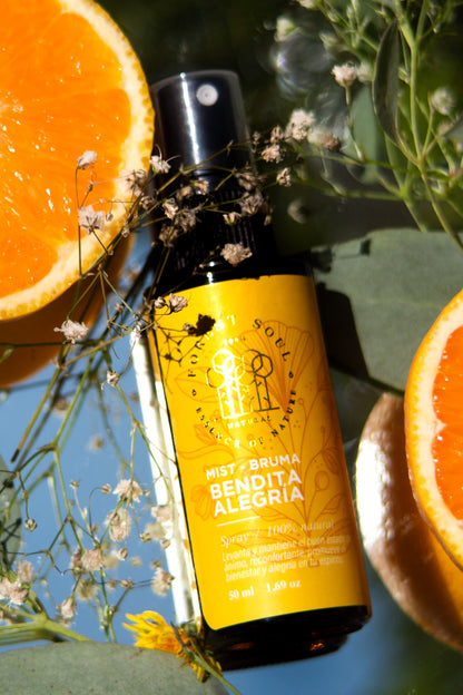 Bruma Bendita Alegría