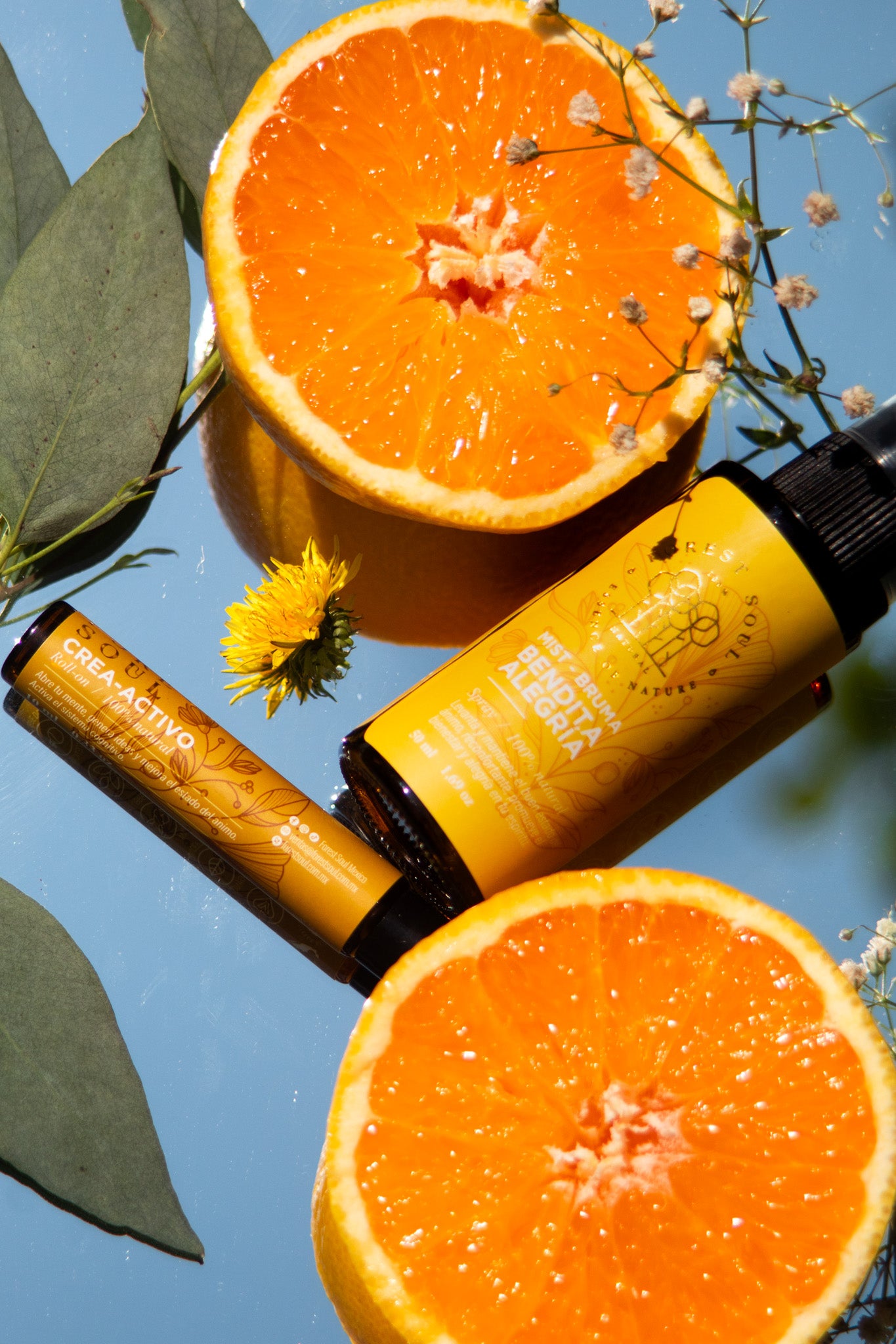 Roll-on Crea - Activo